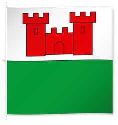 Oberwil im Simmental
