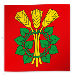 Roggwil