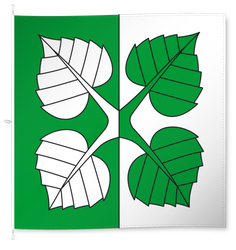 Utzenstorf
