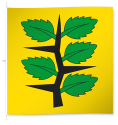 Wachseldorn
