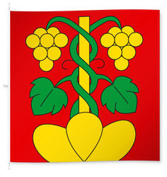 Wileroltigen