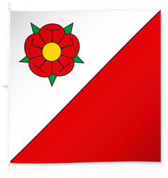 Wynigen