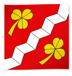Schalunen