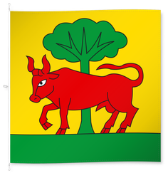 Souboz