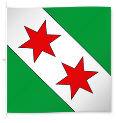 Zauggenried