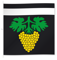 Wünnewil
