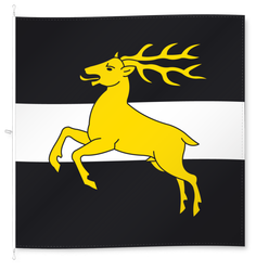 Plasselb
