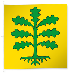 Roveredo