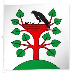 Arbon (version actuelle)
