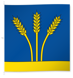 Fläsch