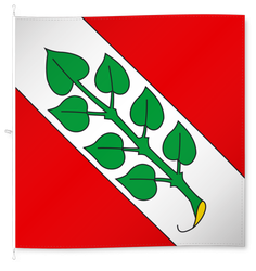 Rossa