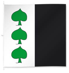 Scharans