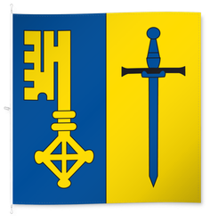 Schluein