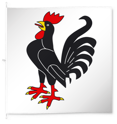 Guarda