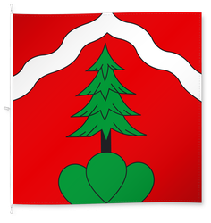 Bignasco