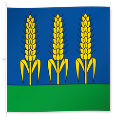 Berzona