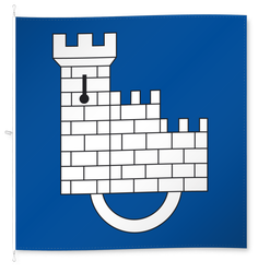 District Sarine