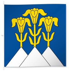 Blumenstein