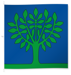 Wallenbuch