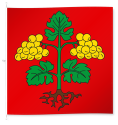 Raron