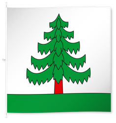 Bauma