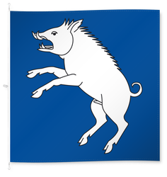 Berg am Irchel