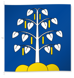 Birchwil