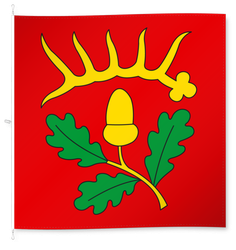 Flaach