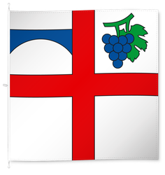 Terre di Pedemonte