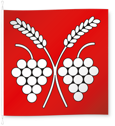 Rudolfingen