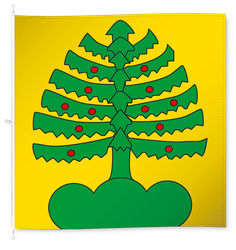 Heimiswil