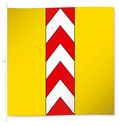 Neuenburg (altes Wappen)