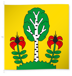 Besenbüren