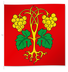 Raron
