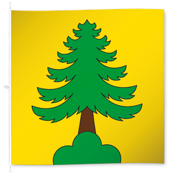 Riniken