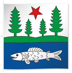 Tennwil