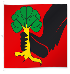 Erlach