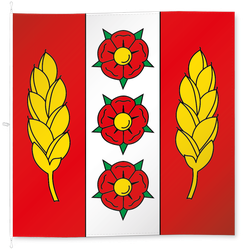 Ottiswil