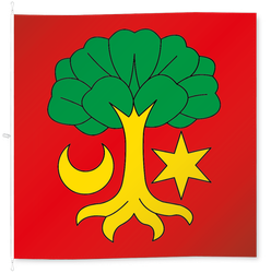 Erlach
