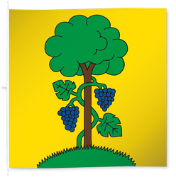Buchthalen