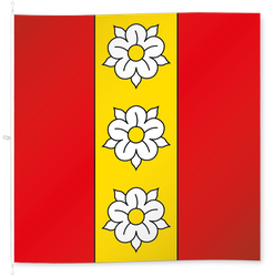 Buchegg