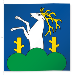 Reute