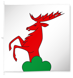Ammerswil