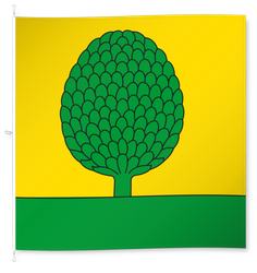 Buchs