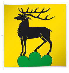 Eglisau