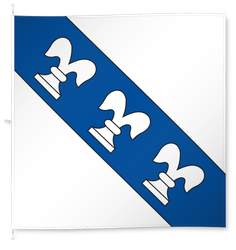 Illnau-Effretikon (Wappen Illnau)