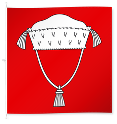 Knonau