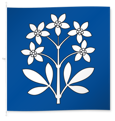 Schleinikon