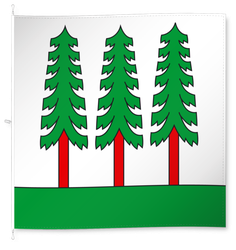 Wald