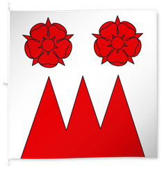 Wasterkingen